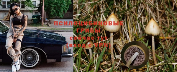 мяу мяу мука Балабаново