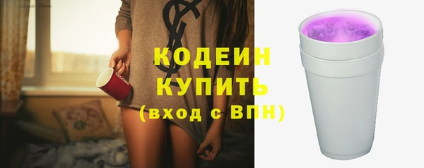индика Снежногорск