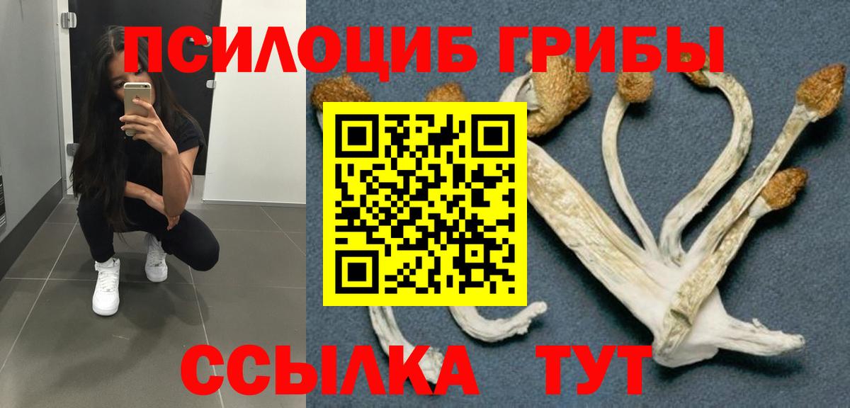 Псилоцибиновые грибы Magic Shrooms  Вход с VPN  Спасск-Дальний 