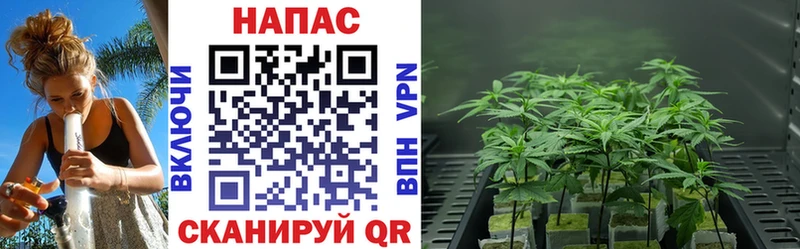 купить закладку  Спасск-Дальний  МАРИХУАНА VHQ 